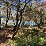 Ferienhaus Il Melograno Hvar *